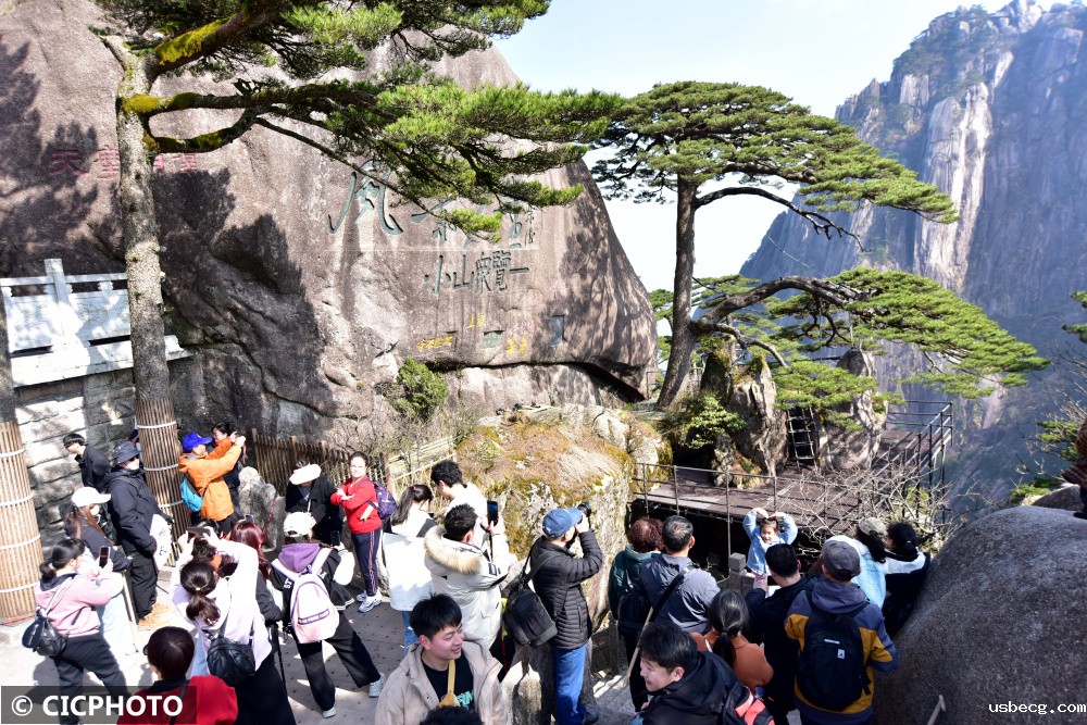 安徽黄山：黄山春美迎客来